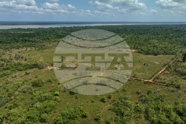 Climate COP30 Slave Descendants