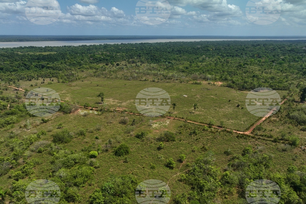 Climate COP30 Slave Descendants