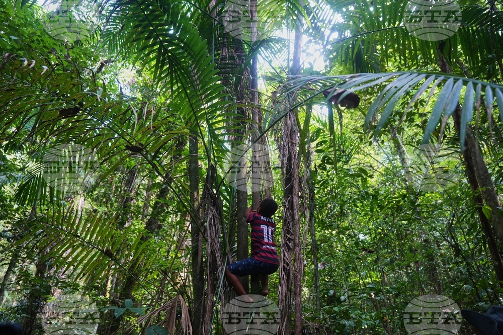 Climate COP30 Slave Descendants