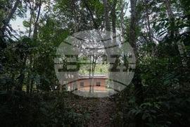 Climate COP30 Slave Descendants