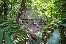 Climate COP30 Slave Descendants