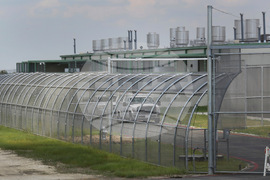 Immigration Detention Center Shooting