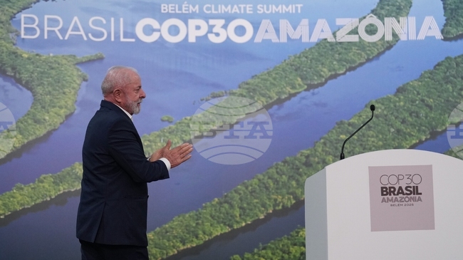 Германия ще предостави 1 милиард евро за опазване на тропическите гори в Бразилия