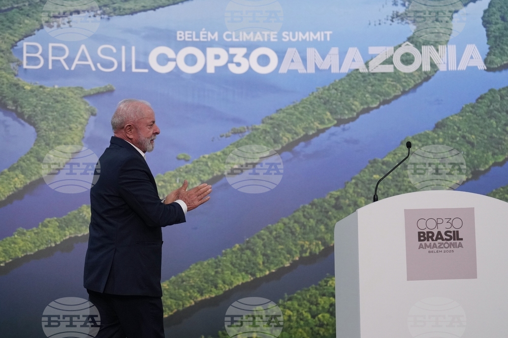 Германия ще предостави 1 милиард евро за опазване на тропическите гори в Бразилия