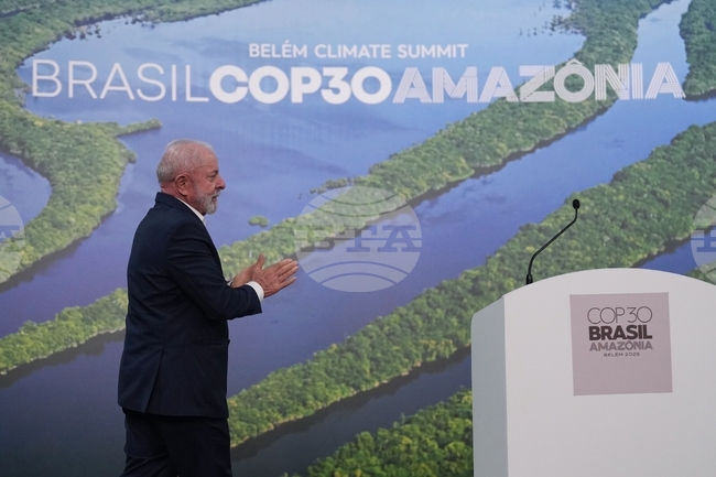 Германия ще предостави 1 милиард евро за опазване на тропическите гори в Бразилия