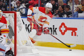 Flames Sabres Hockey