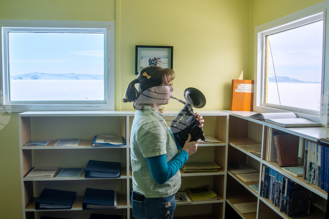 New Zealand Antarctica Musician