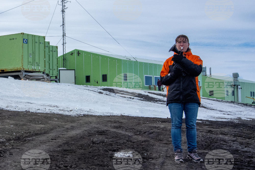New Zealand Antarctica Musician