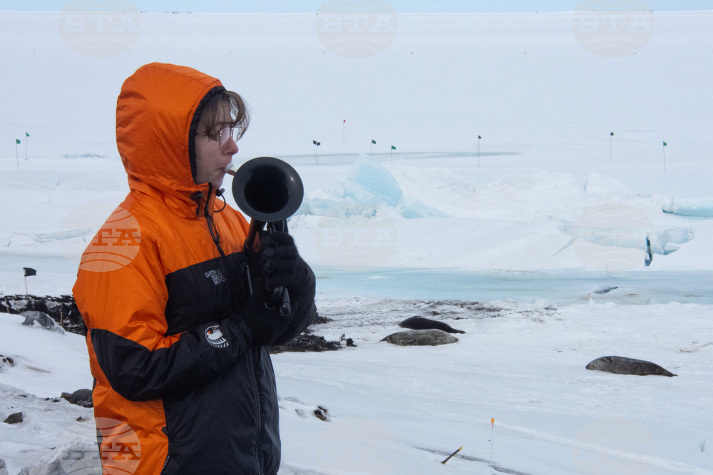 New Zealand Antarctica Musician