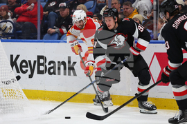 Flames Sabres Hockey