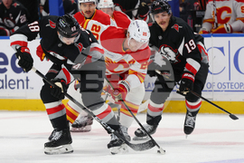 Flames Sabres Hockey