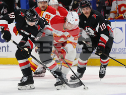 Flames Sabres Hockey