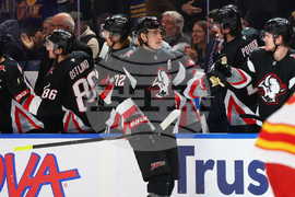 Flames Sabres Hockey