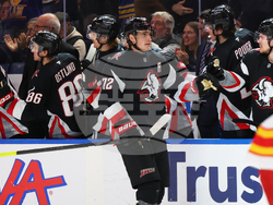 Flames Sabres Hockey