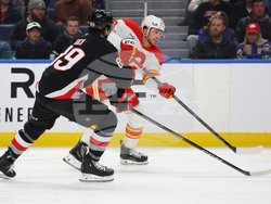 Flames Sabres Hockey