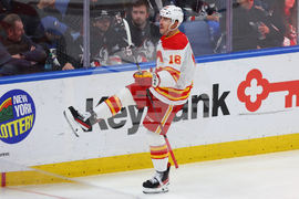 Flames Sabres Hockey