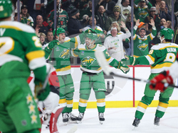 Hurricanes Wild Hockey