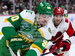 Hurricanes Wild Hockey