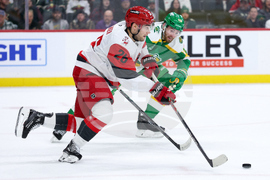 Hurricanes Wild Hockey