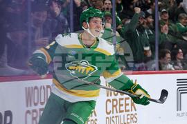 Hurricanes Wild Hockey