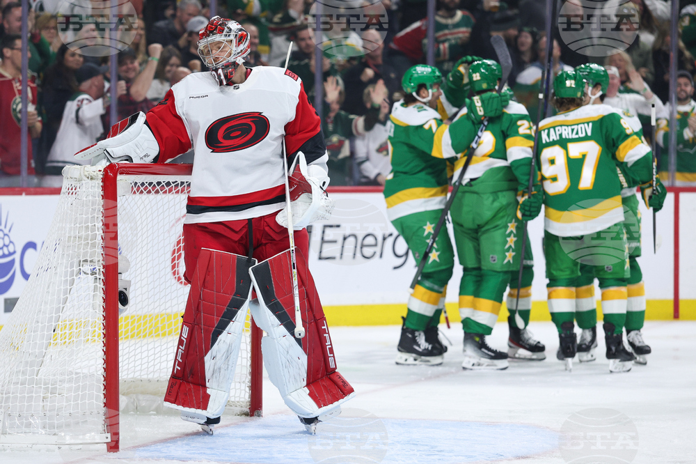 Hurricanes Wild Hockey