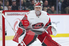 Hurricanes Wild Hockey