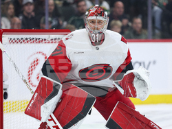 Hurricanes Wild Hockey