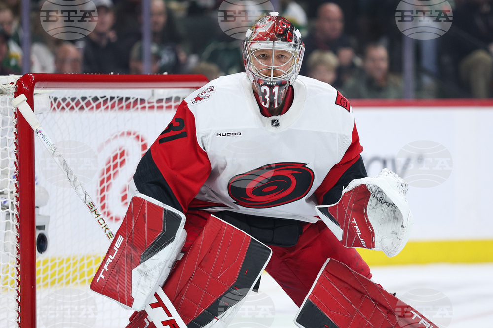 Hurricanes Wild Hockey