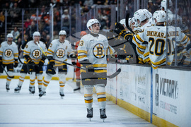 Bruins Ducks Hockey