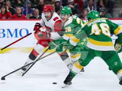 Hurricanes Wild Hockey