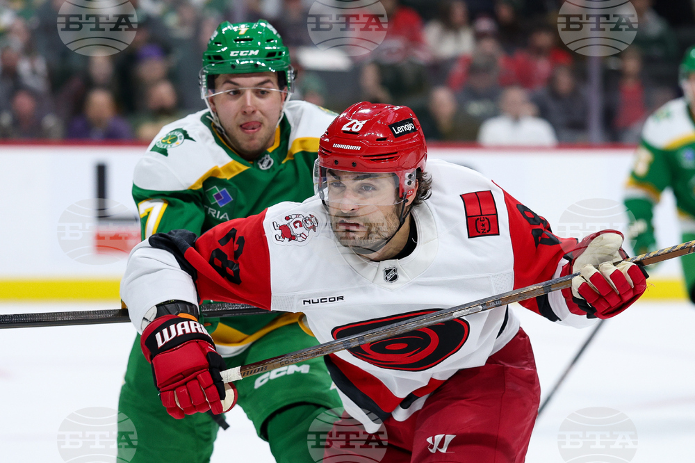 Hurricanes Wild Hockey