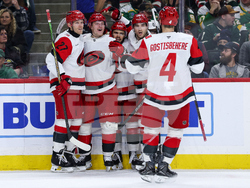 Hurricanes Wild Hockey