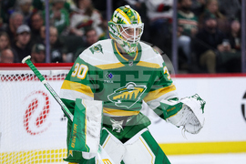 Hurricanes Wild Hockey