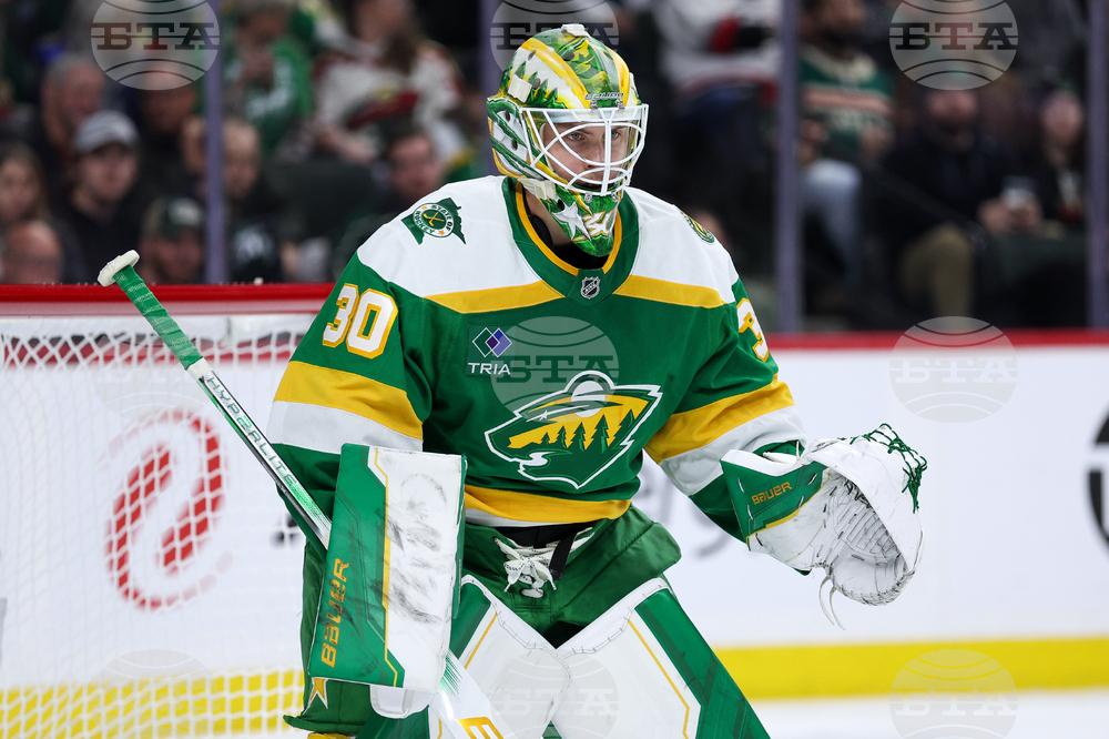 Hurricanes Wild Hockey