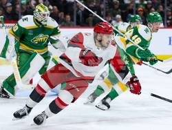 Hurricanes Wild Hockey