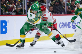 Hurricanes Wild Hockey