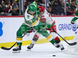 Hurricanes Wild Hockey