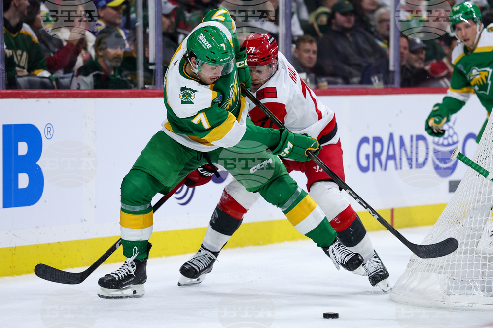 Hurricanes Wild Hockey