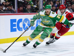 Hurricanes Wild Hockey