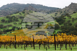 California Daily Life