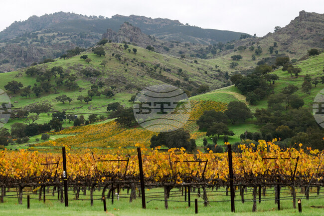 California Daily Life