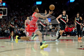 Bulls Trail Blazers Basketball
