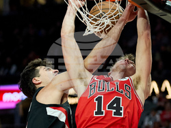 Bulls Trail Blazers Basketball