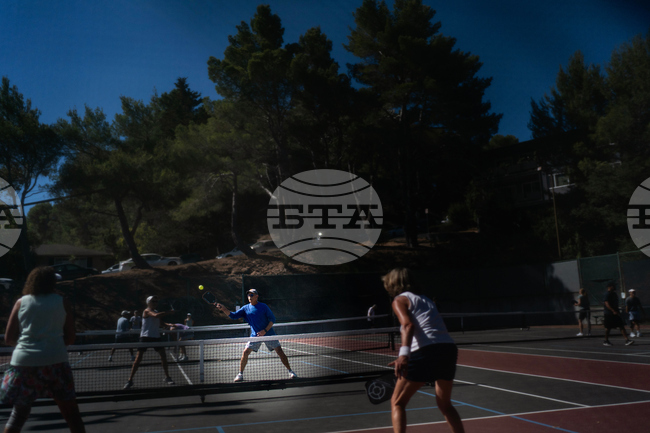 Autoimmune Diseases Brain Photo Essay