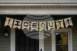 Federal Enforcement Chicago Videos