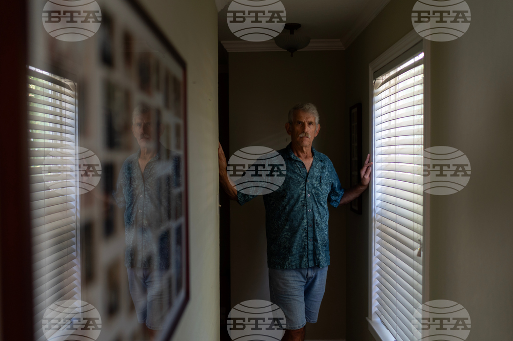 Autoimmune Diseases Brain