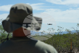 Digital Cage Border Patrol