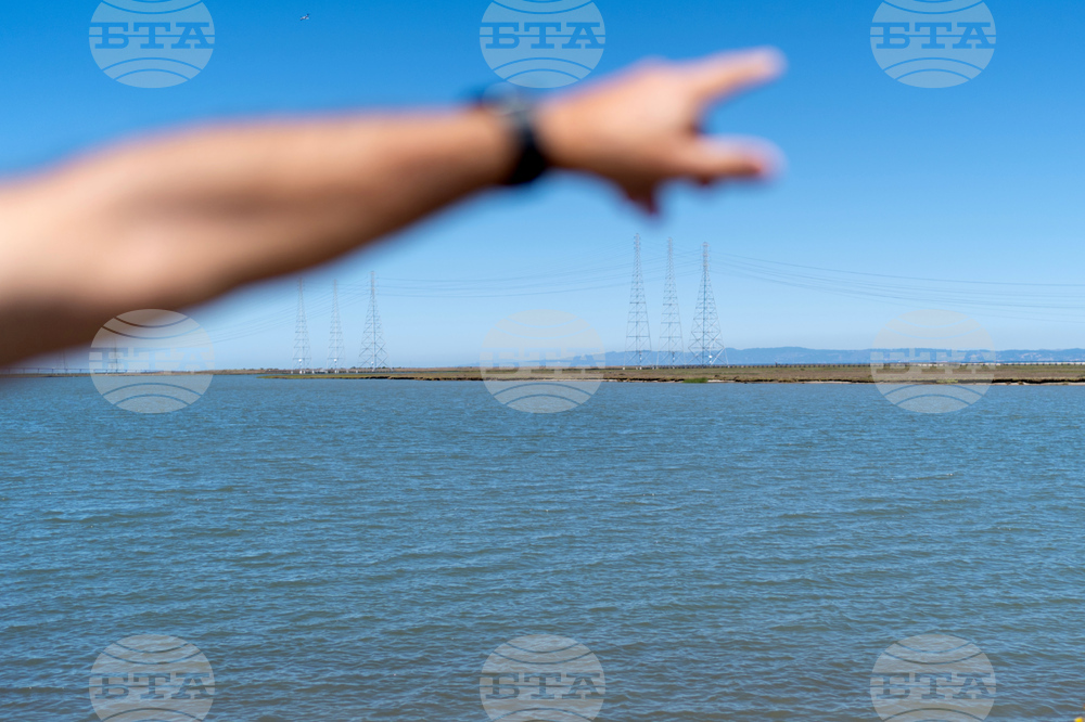 Autoimmune Diseases Brain Photo Essay