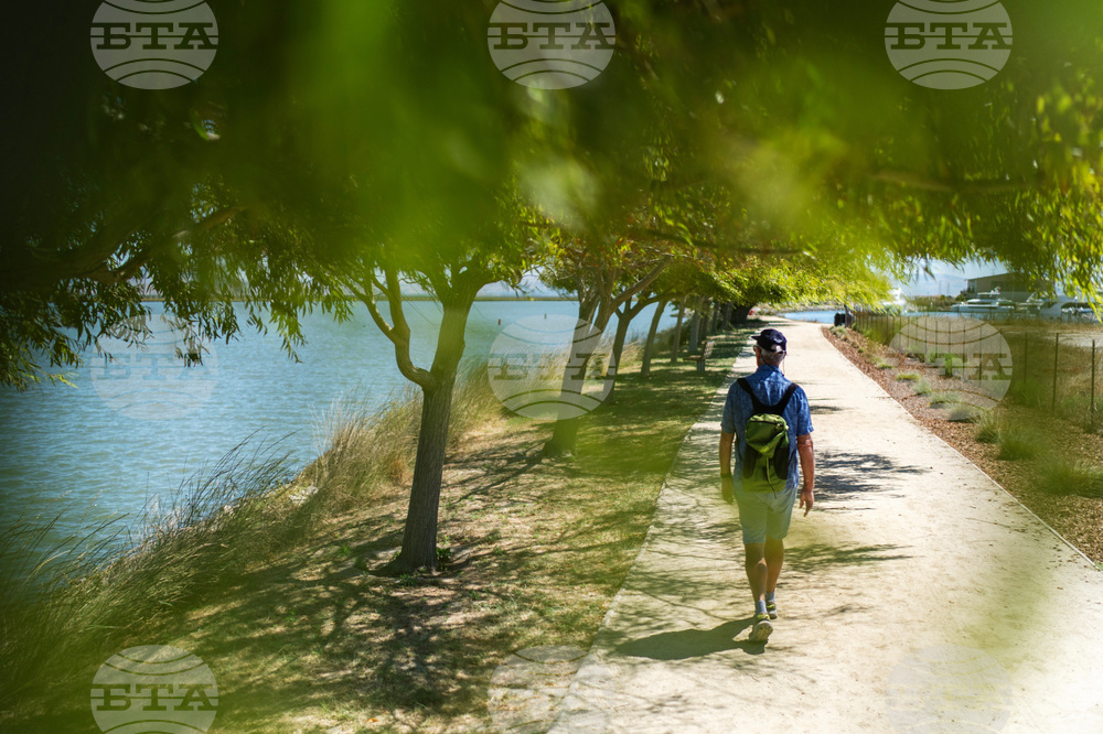 Autoimmune Diseases Brain Photo Essay