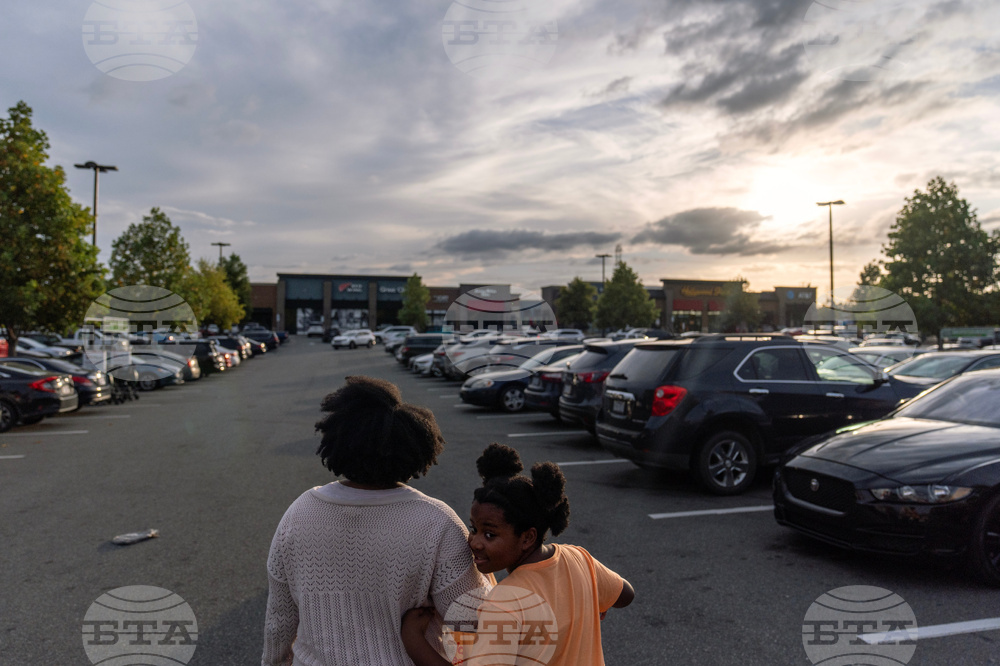 Autoimmune Diseases Brain